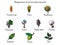 ÐžÑÐ½Ð¾Ð²Ð½Ñ‹Ðµ RGB beautiful icons in the form of various plant minerals